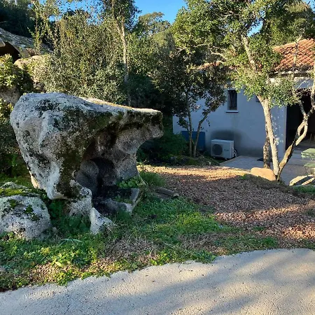 T2 Rocca ソエッタ